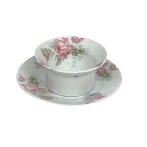 Vintage Thomas Sevres Bavaria Pink Floral Custard Cup & Plate
